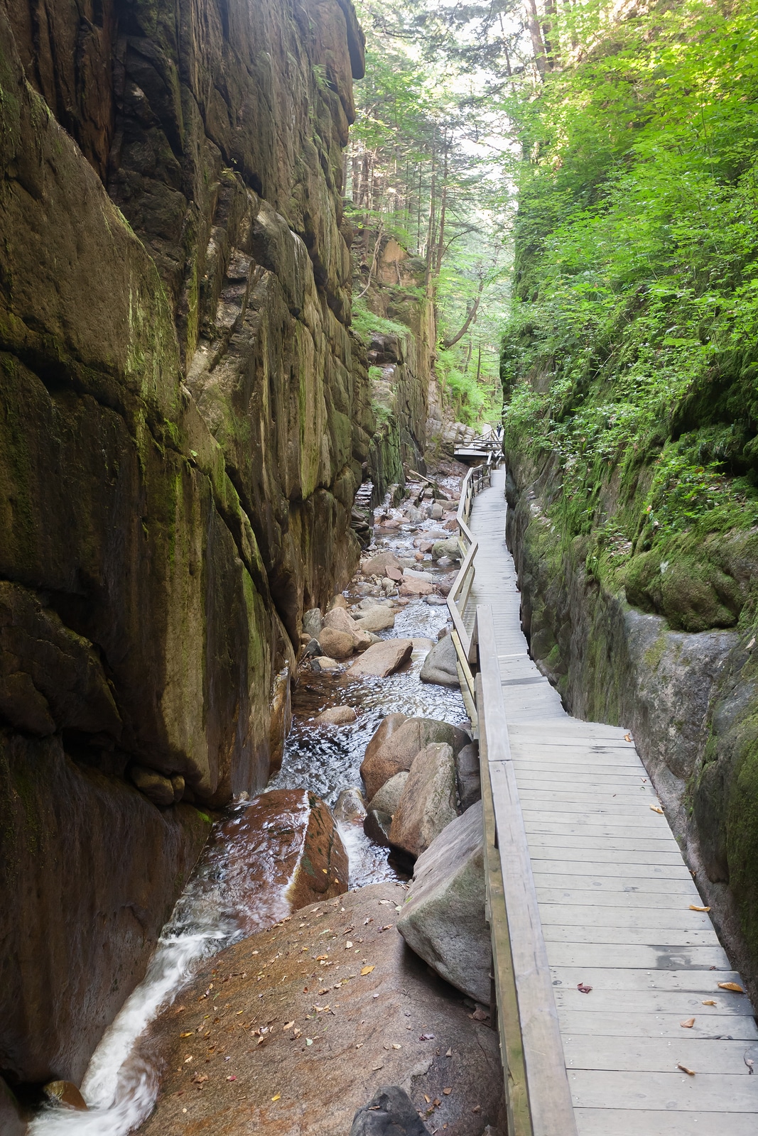 Your Guide To The Best Spring Hikes In The White Mountains